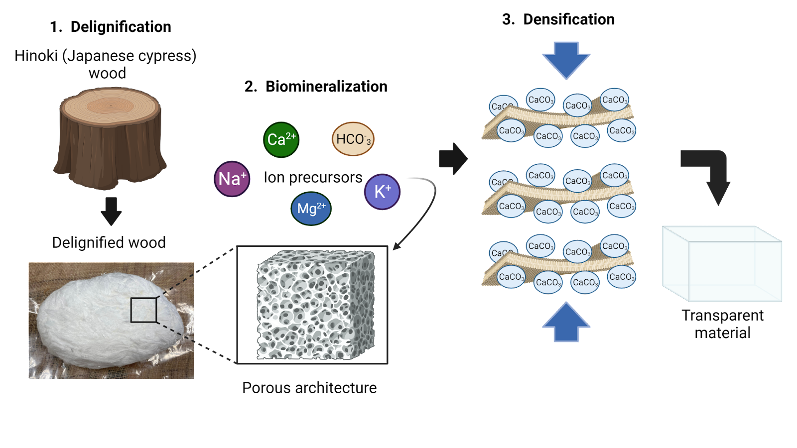Transparent wood-based material with high tensile strength