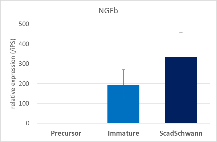 Repair of Nerve Injuries by Schwann Cells Produced from Pluripotent Stem Cell Lines