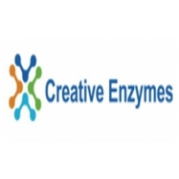 Creative Enzymes