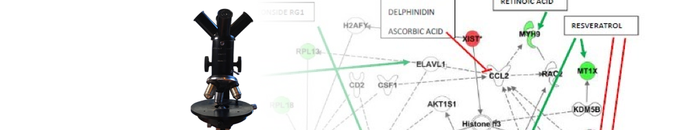 Recommendation of optimal combinations of natural active compounds to treat disease using a database