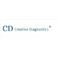 Creative Diagnostics